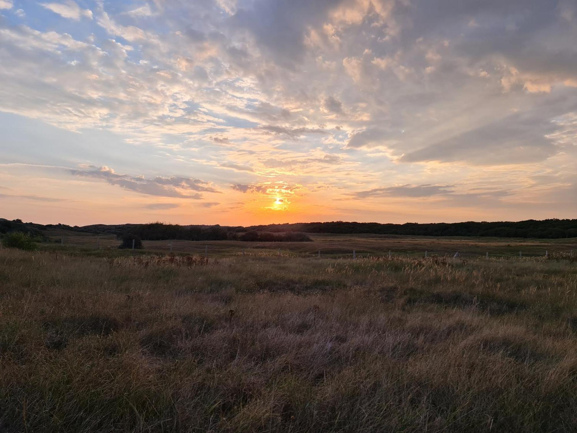 Olmenduin Chalet Olm Zeeland Serooskerke  Eksteriør billede