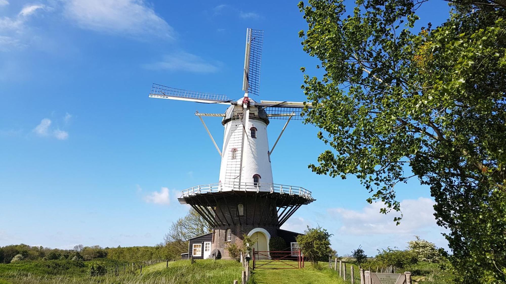 Olmenduin Chalet Olm Zeeland Serooskerke  Eksteriør billede